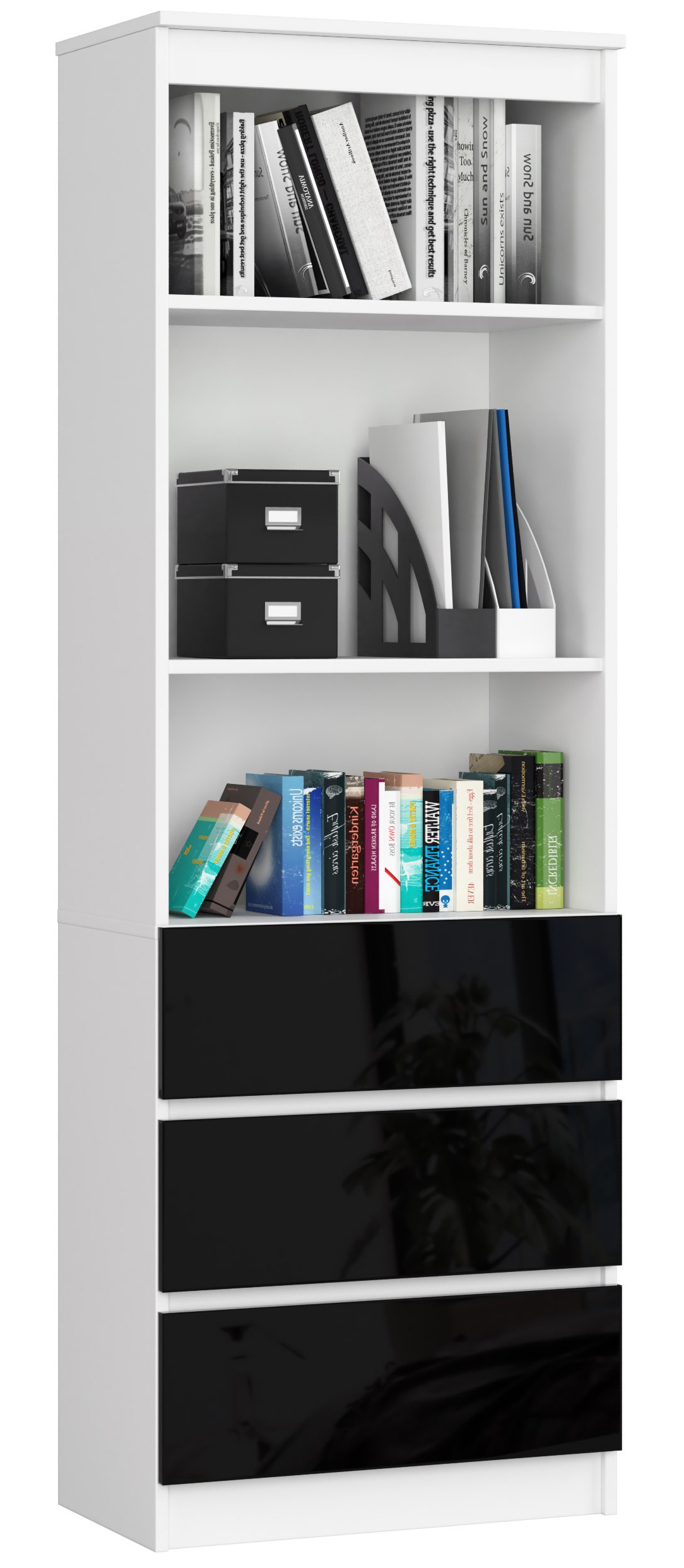 Regál R60 3SZ2P bílá/černý lesk